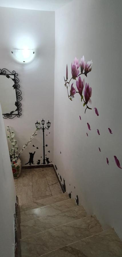 카스텔몰라 Casa Enrico 아파트 외부 사진