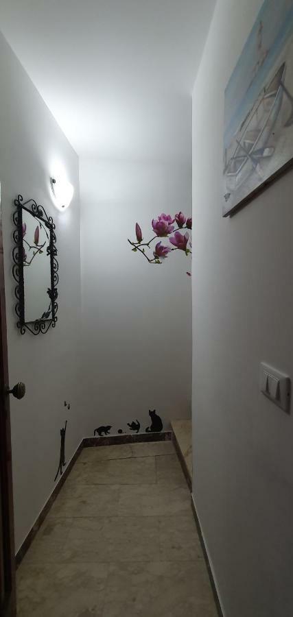 카스텔몰라 Casa Enrico 아파트 외부 사진